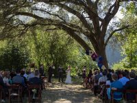 Koret Park Wedding
